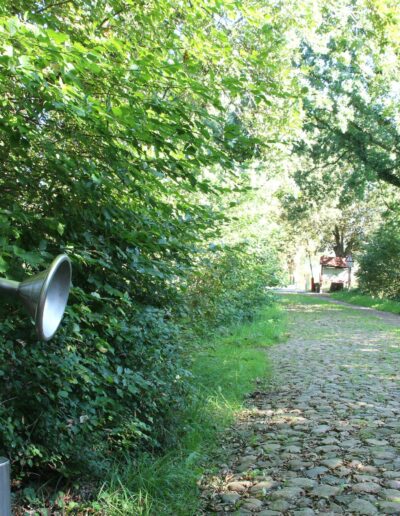 Wegbeschreibung 1